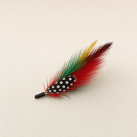 Pluma de Sombrero