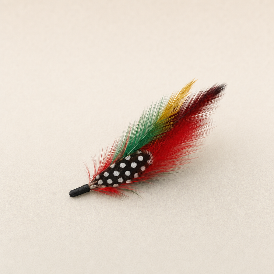 Pluma de Sombrero