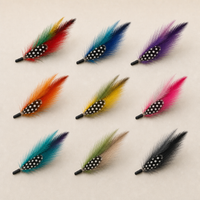 Pluma de Sombrero